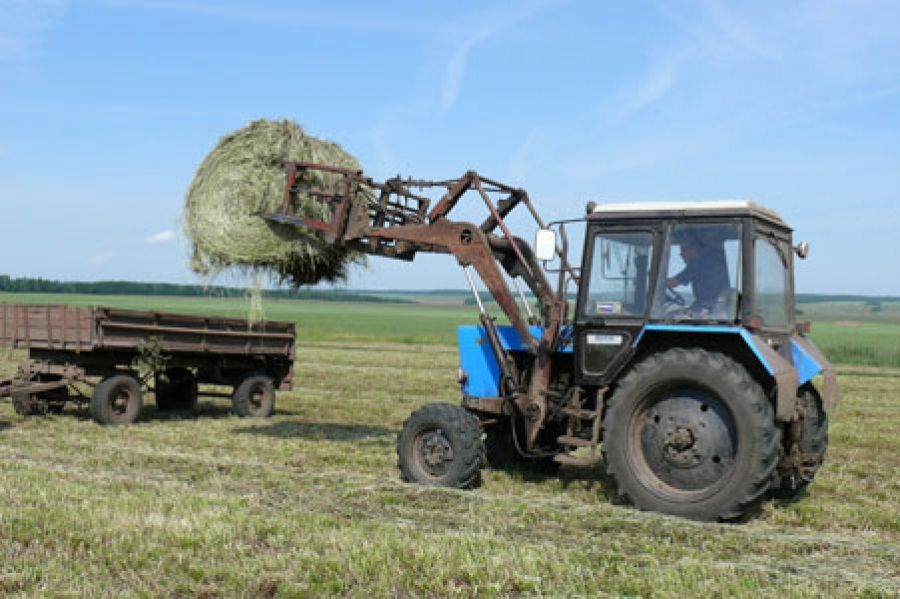В Чистопольском районе заготовлено 650 тонн сена