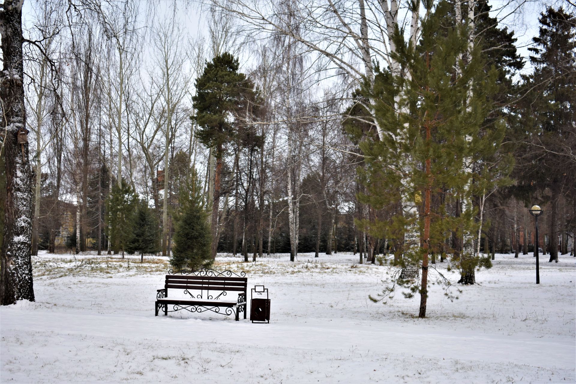 Прекрасное начало зимы в Чистополе (ФОТОРЕПОРТАЖ)