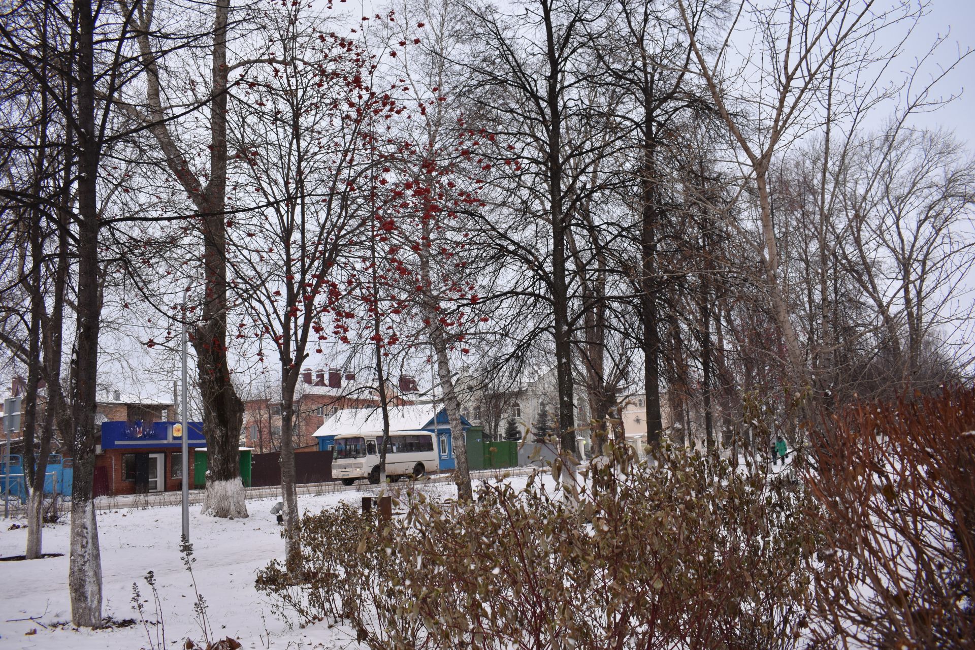 Прекрасное начало зимы в Чистополе (ФОТОРЕПОРТАЖ)