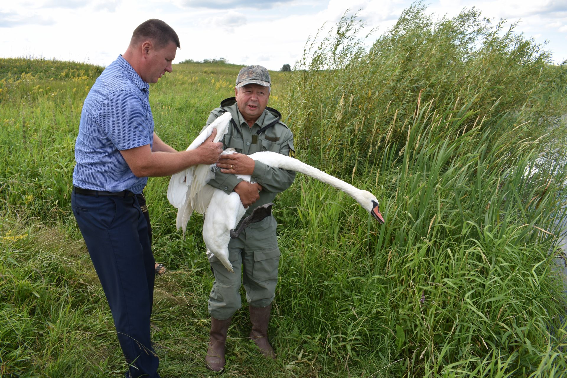 В Чистопольском районе спасен ещё один обитатель дикой фауны