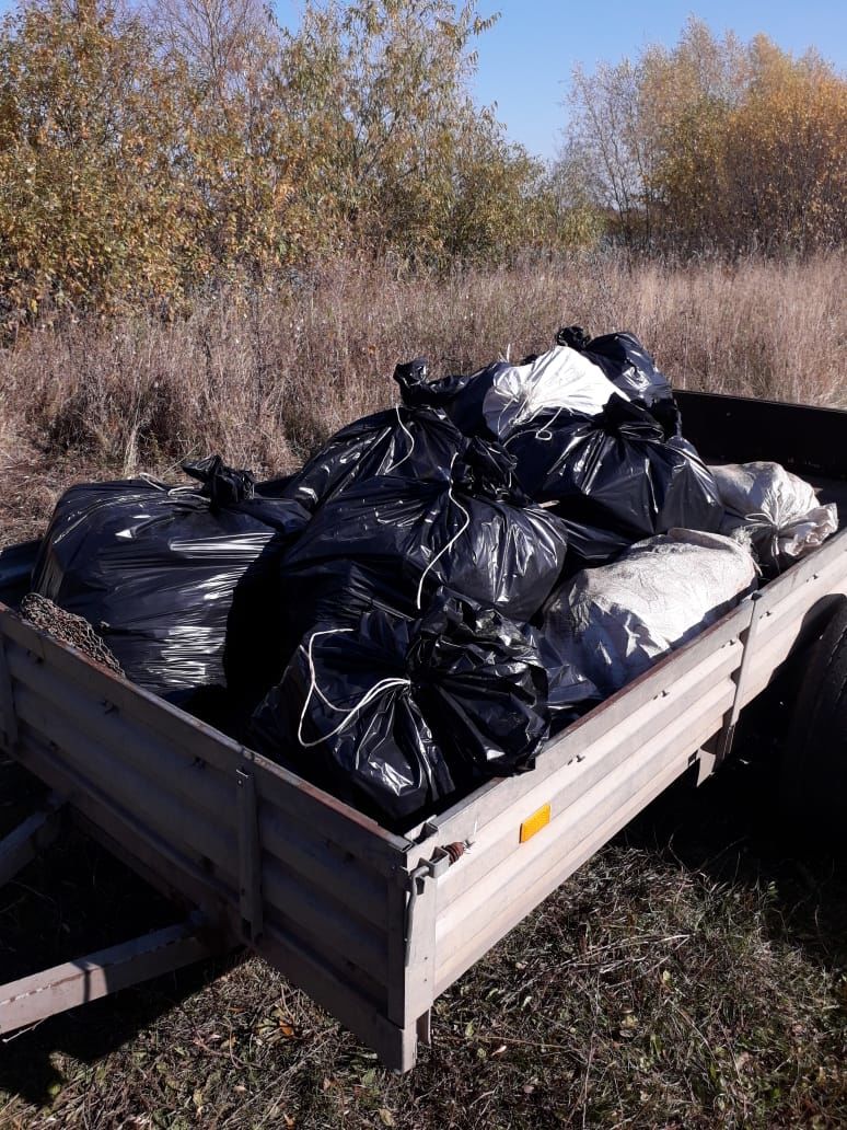 В Чистополе очистили от мусора берег реки Прость