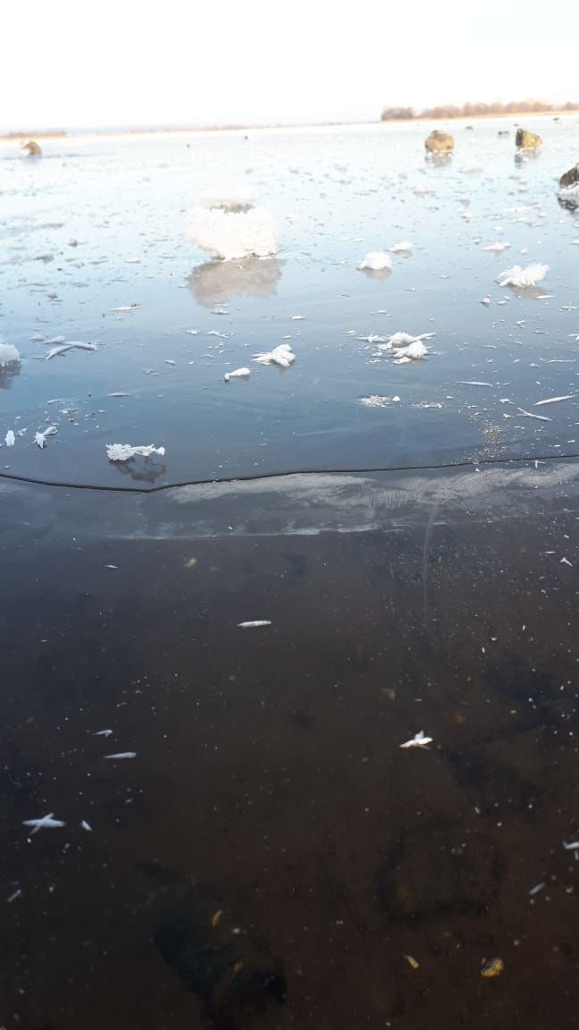 В Чистополе рыбаки вышли на первый лед
