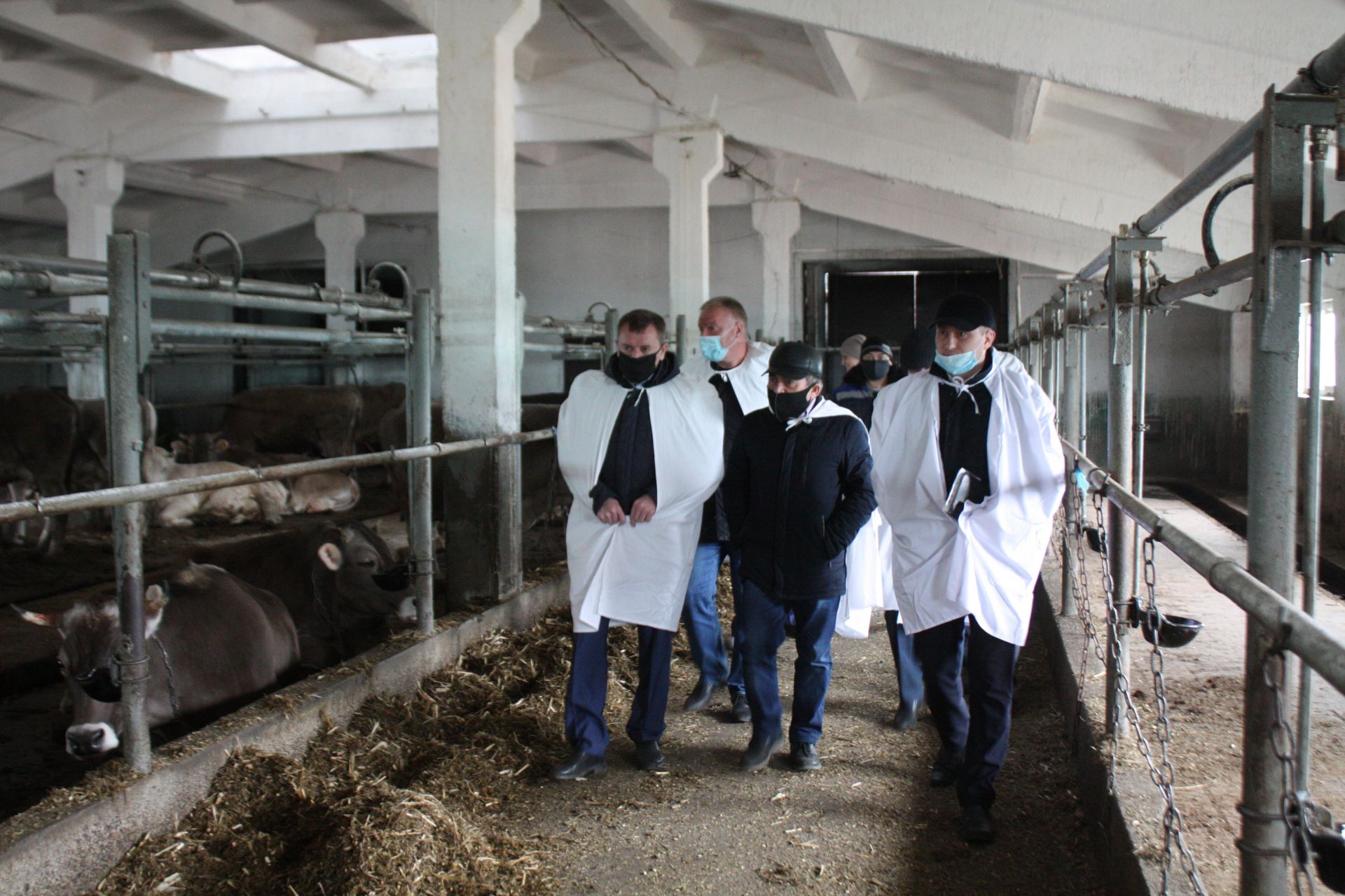 Министр сельского хозяйства и продовольствия РТ Марат Зяббаров ознакомился с ходом работы в чистопольских хозяйствах