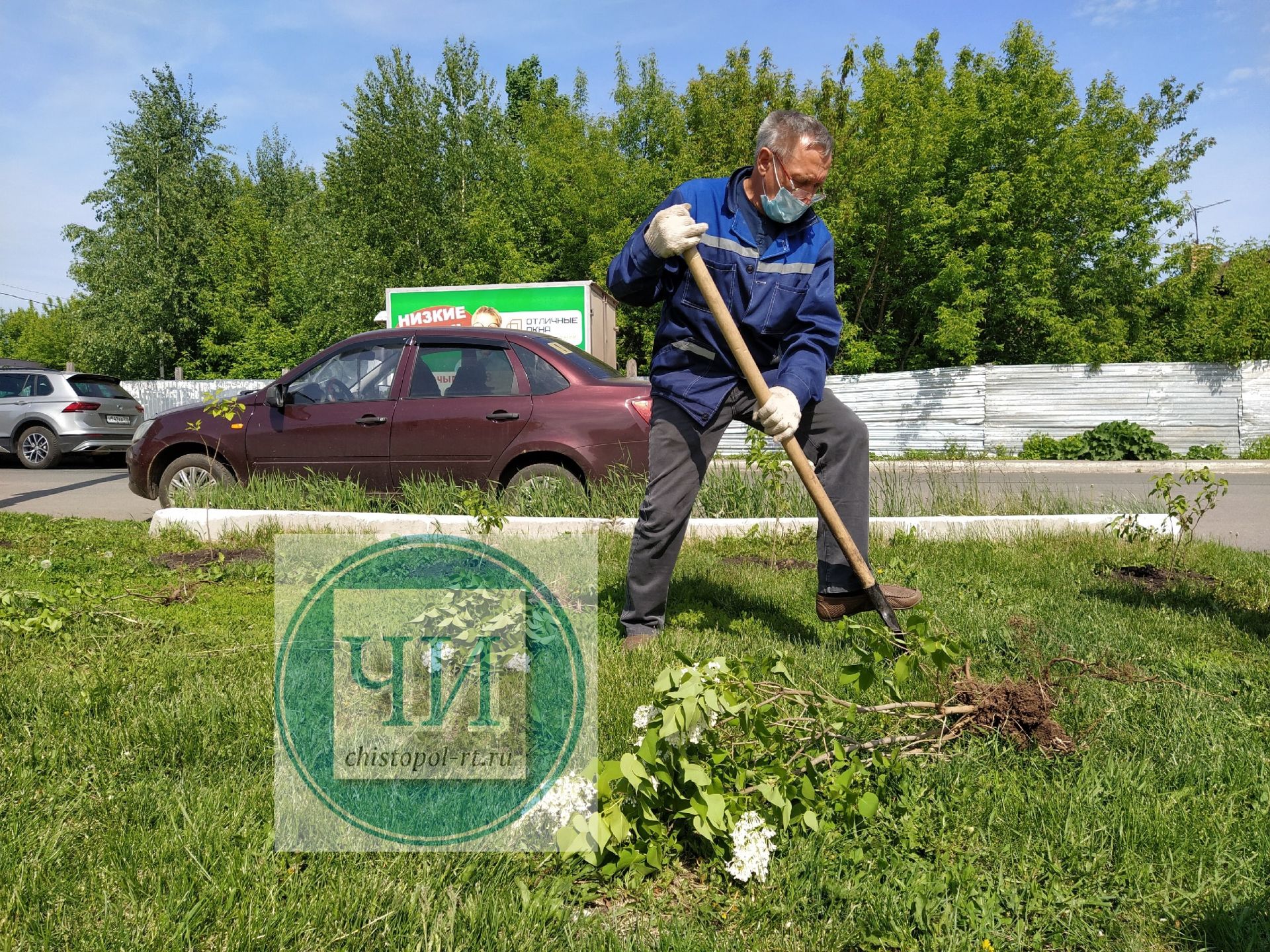 Сотрудники культурного центра «Чистай» высадили деревья к 100-летию ТАССР