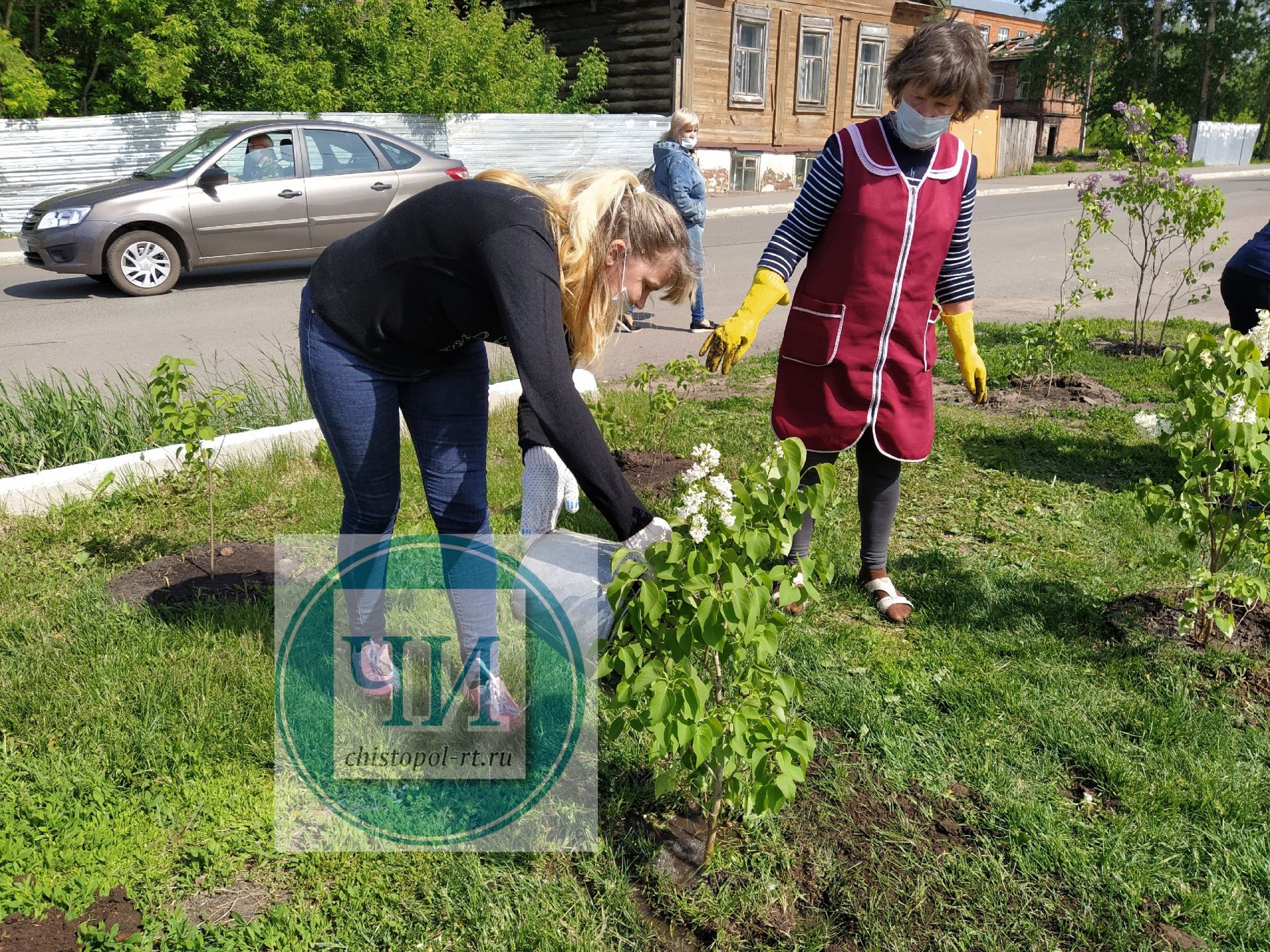 Сотрудники культурного центра «Чистай» высадили деревья к 100-летию ТАССР