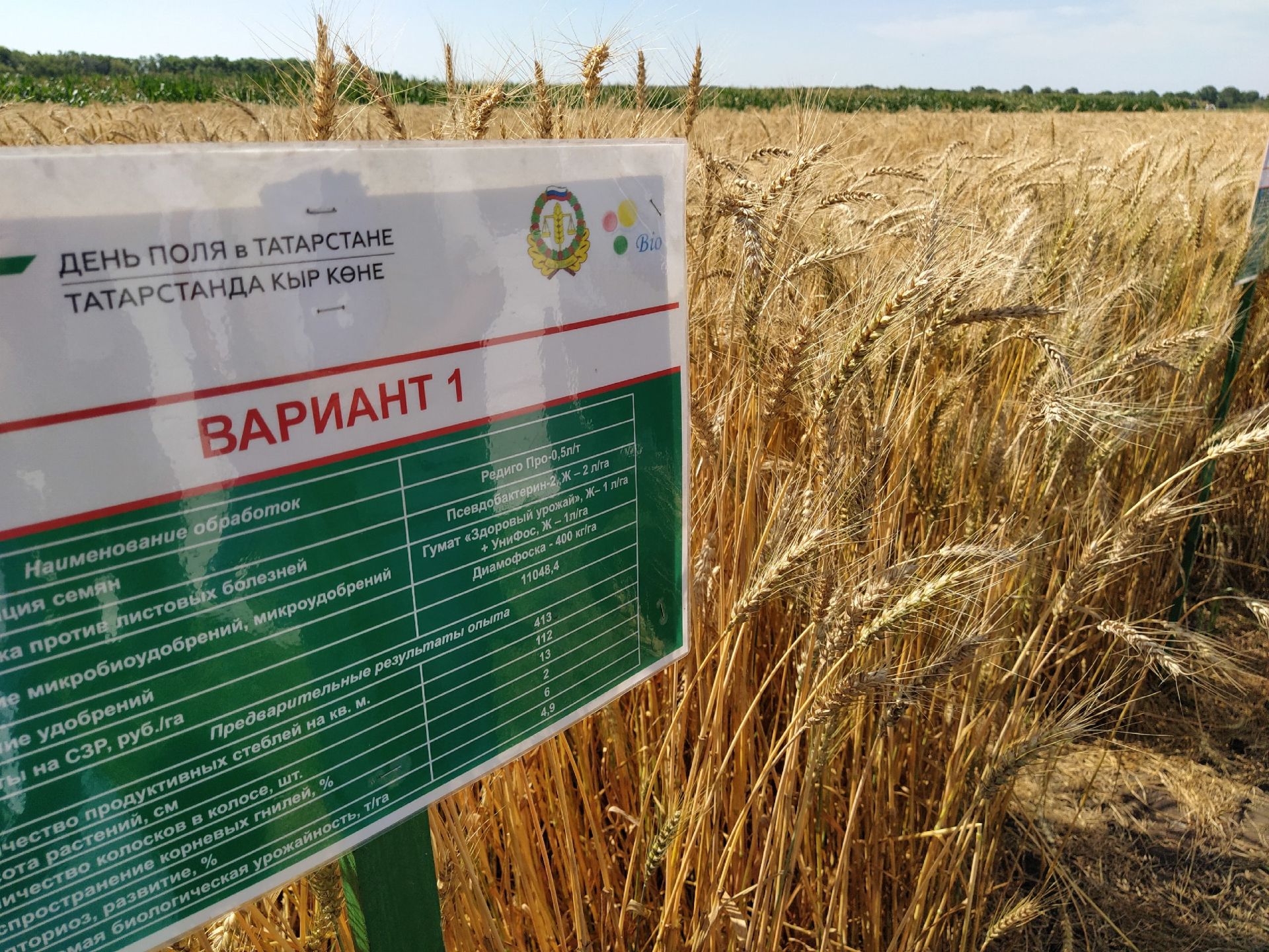 В Чистопольском районе презентовали новые сорта сельхозкультур
