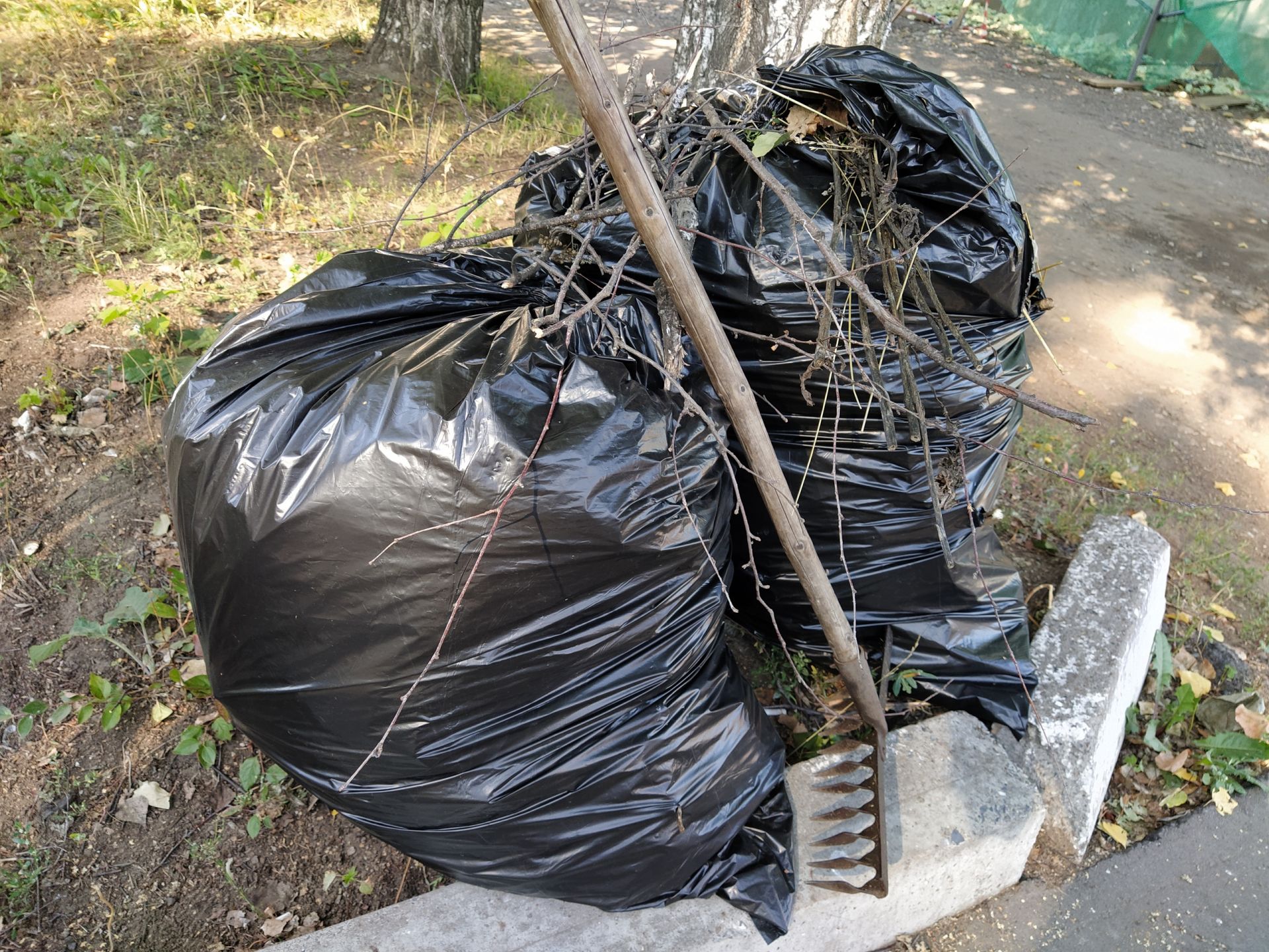 Коллектив «Чистопольских известий» присоединился к уборке города