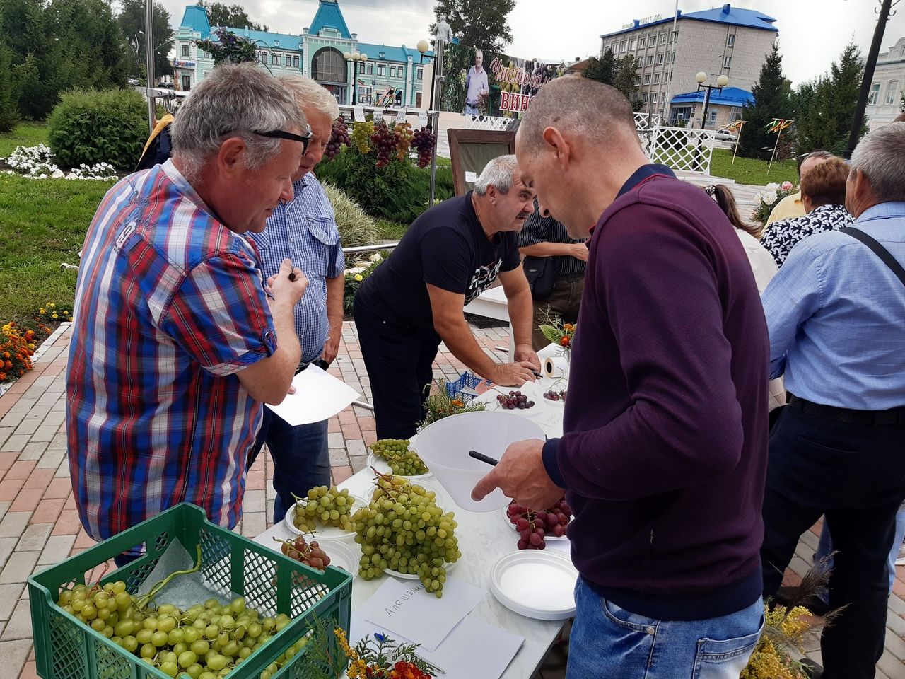 В День города чистопольцев угощали виноградом