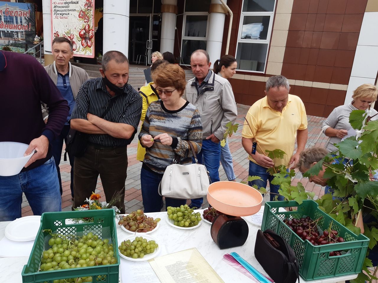 В День города чистопольцев угощали виноградом