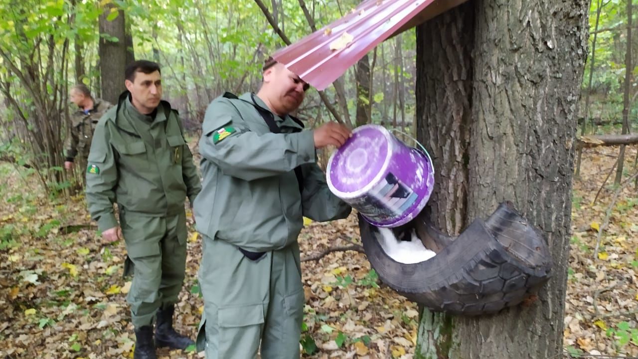 Школьники Чистопольского района  подкормили в лесу косуль, зайцев и лосей
