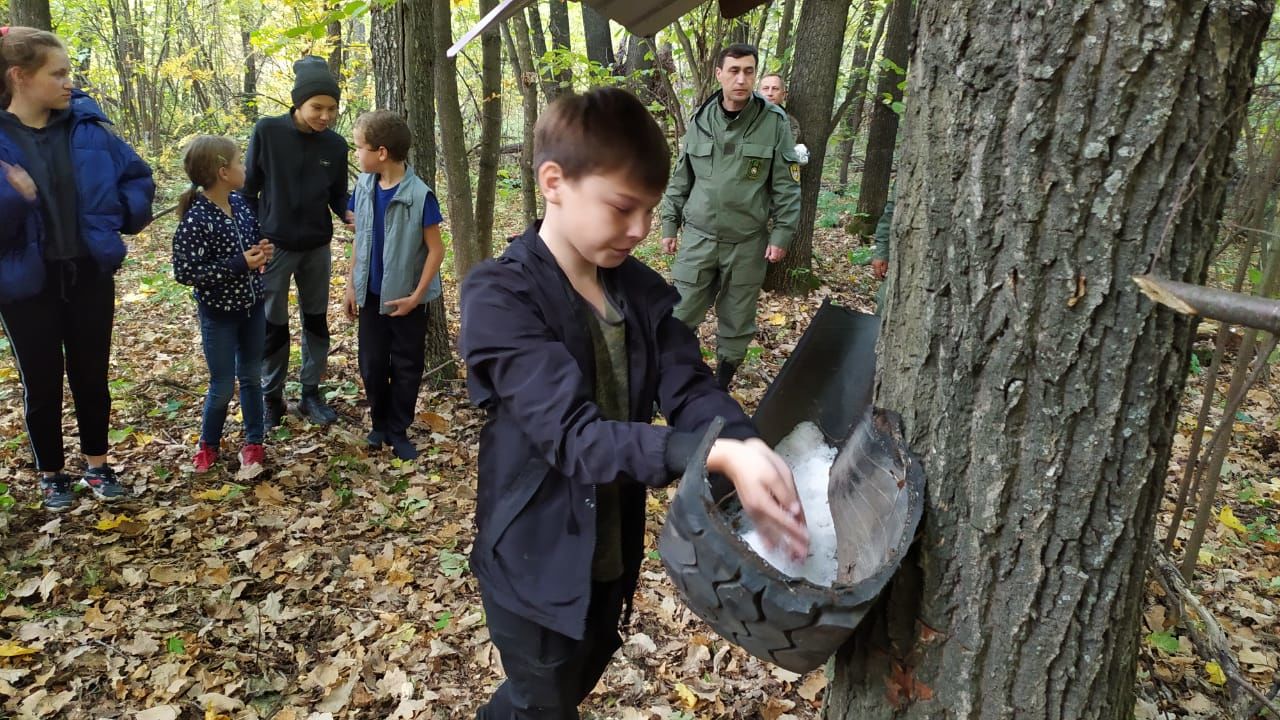 Школьники Чистопольского района  подкормили в лесу косуль, зайцев и лосей