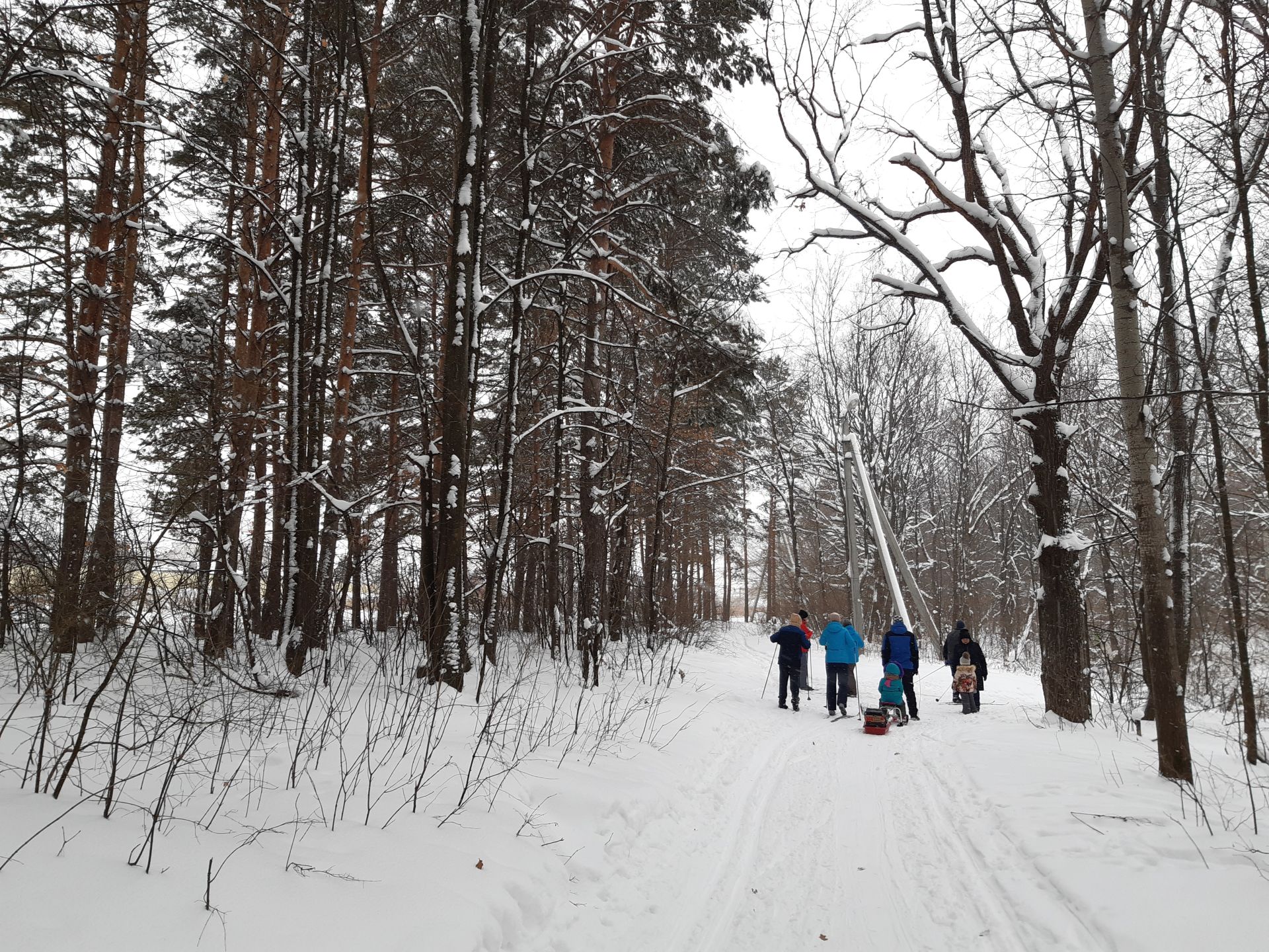 Чистопольцы активно проводят выходные в зимнем лесу (Фоторепортаж)