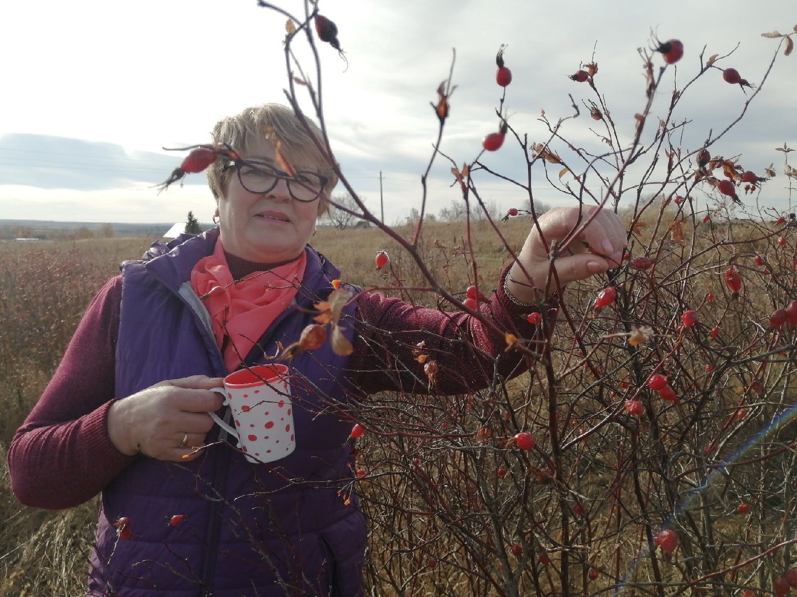 Запаслись витаминами на зиму: в Чистопольском селе жители собирали шиповник