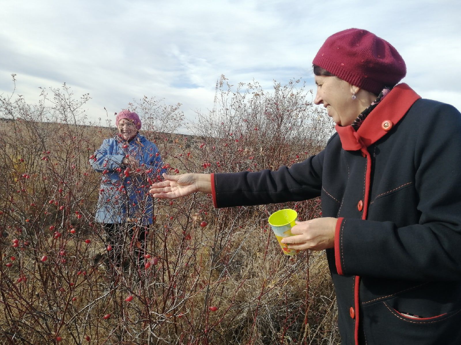 Запаслись витаминами на зиму: в Чистопольском селе жители собирали шиповник