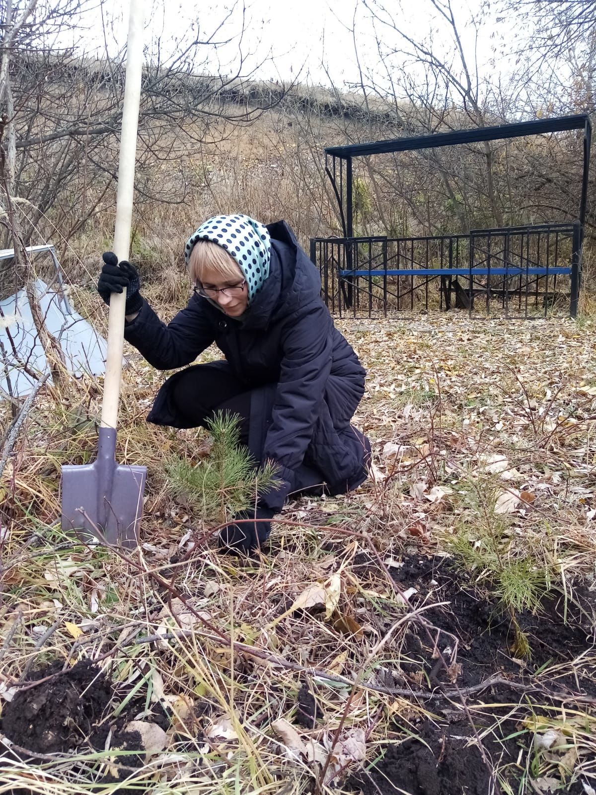 На территории родника в одном из сел Чистопольского района посадили деревья