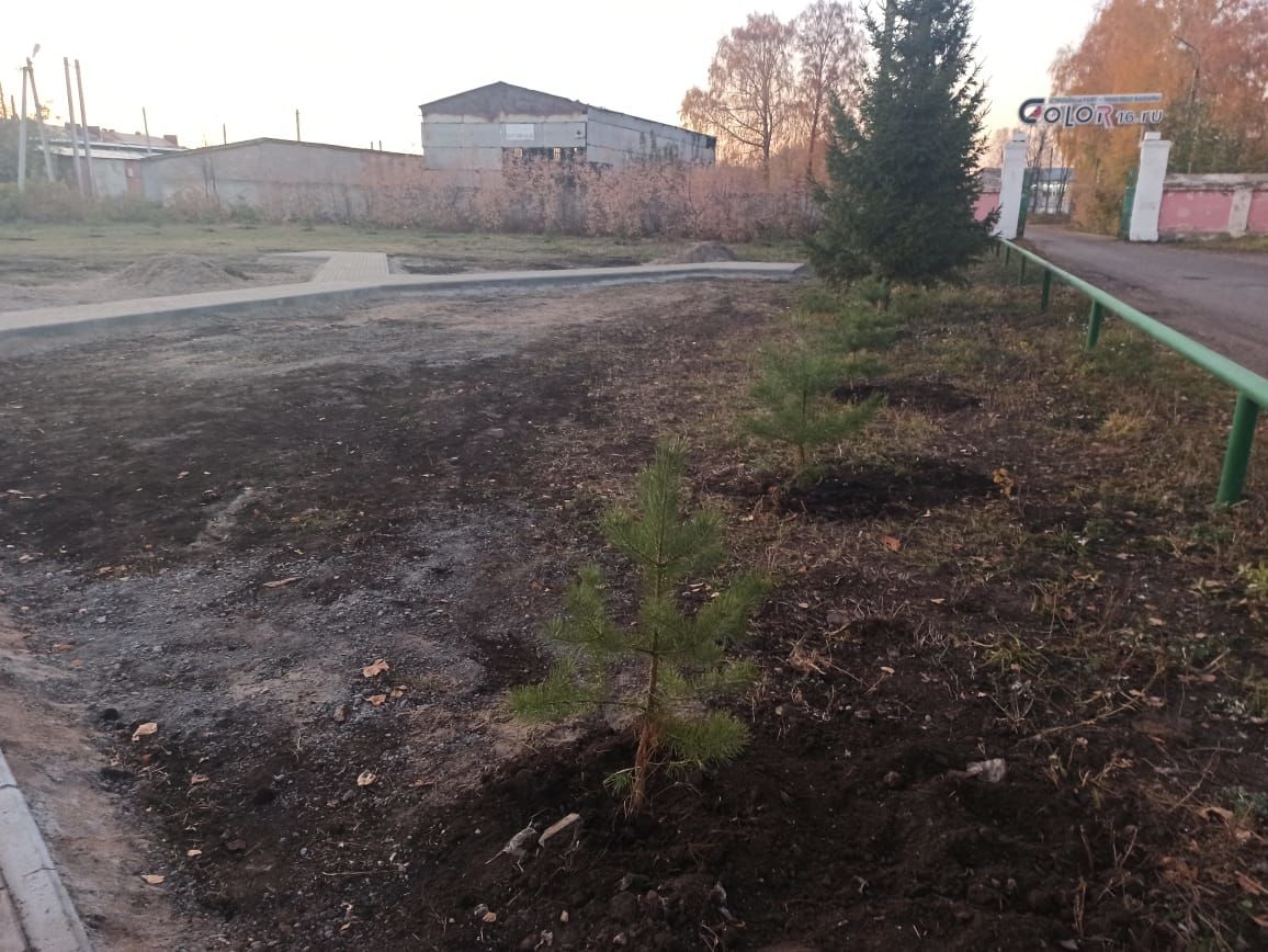 В Чистополе на территории будущего сквера посадили деревья