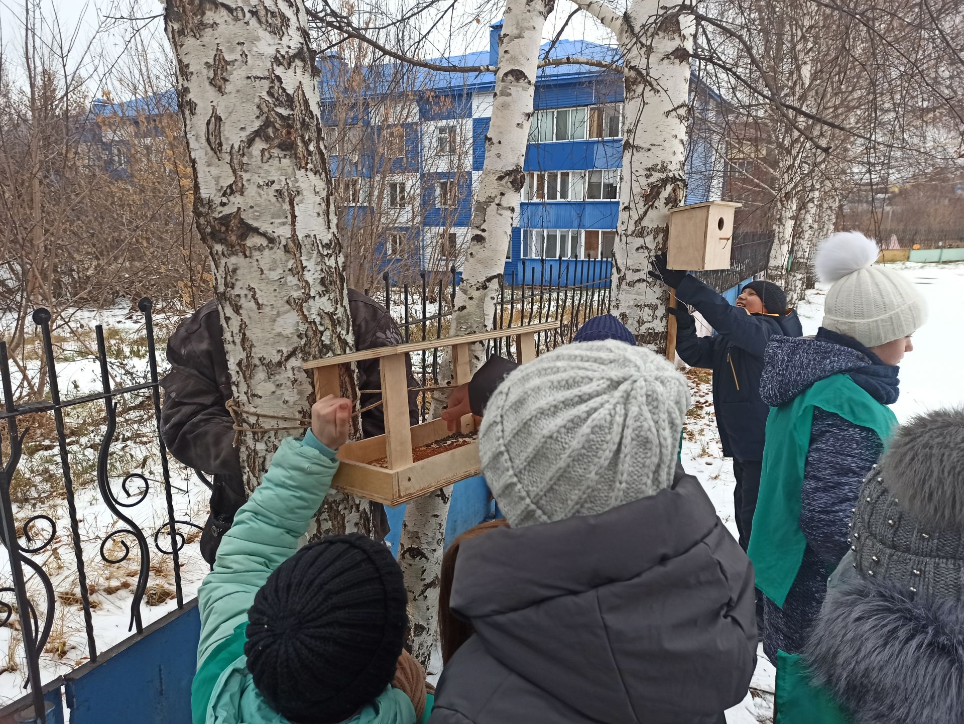 Юные чистопольцы обустроили во дворе школы «столовую» для птиц (фоторепортаж)