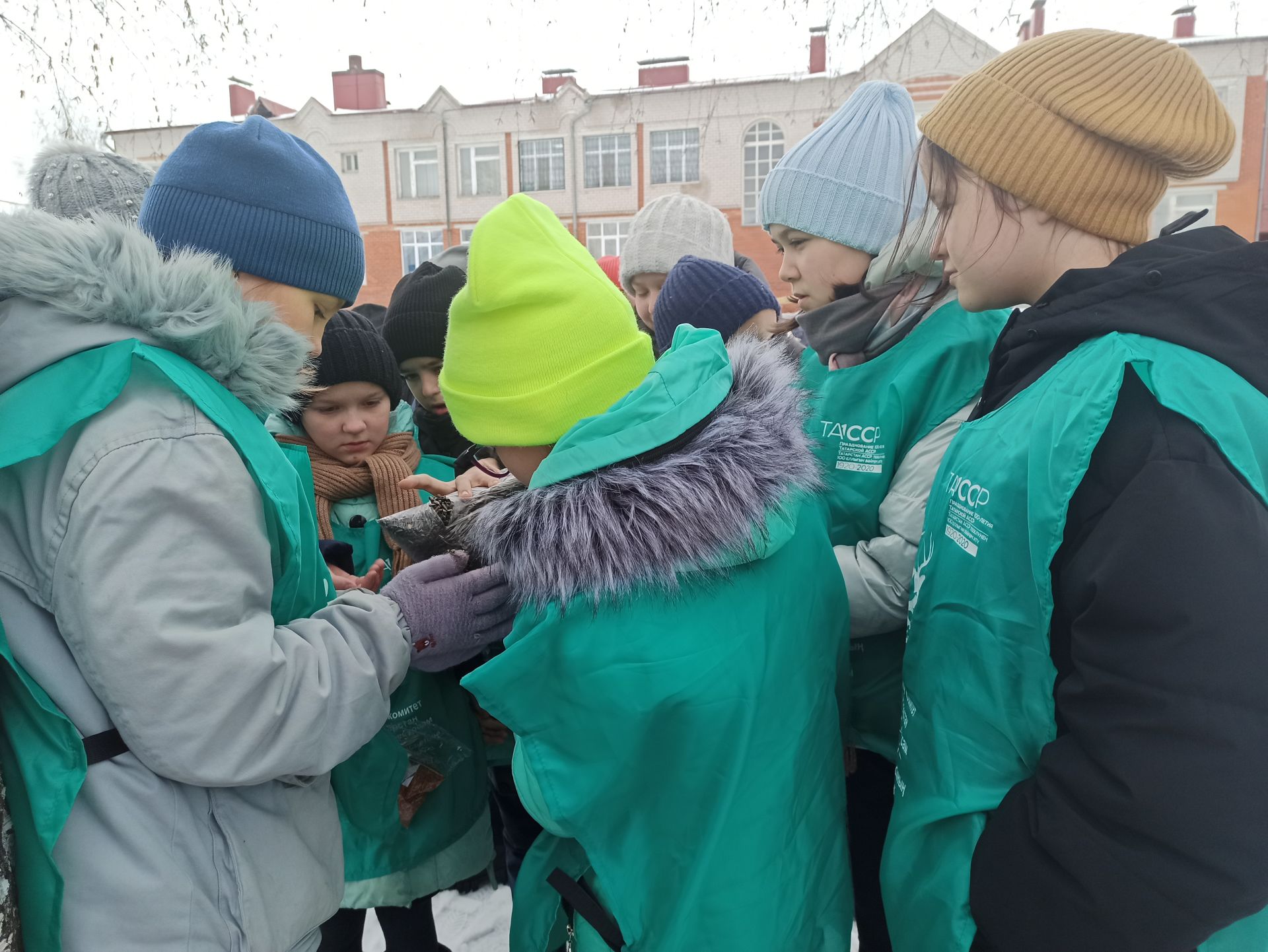 Юные чистопольцы обустроили во дворе школы «столовую» для птиц (фоторепортаж)