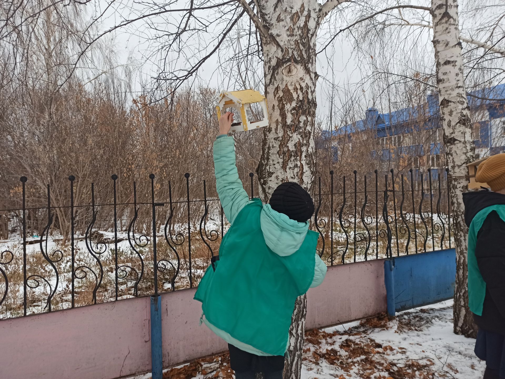 Юные чистопольцы обустроили во дворе школы «столовую» для птиц (фоторепортаж)