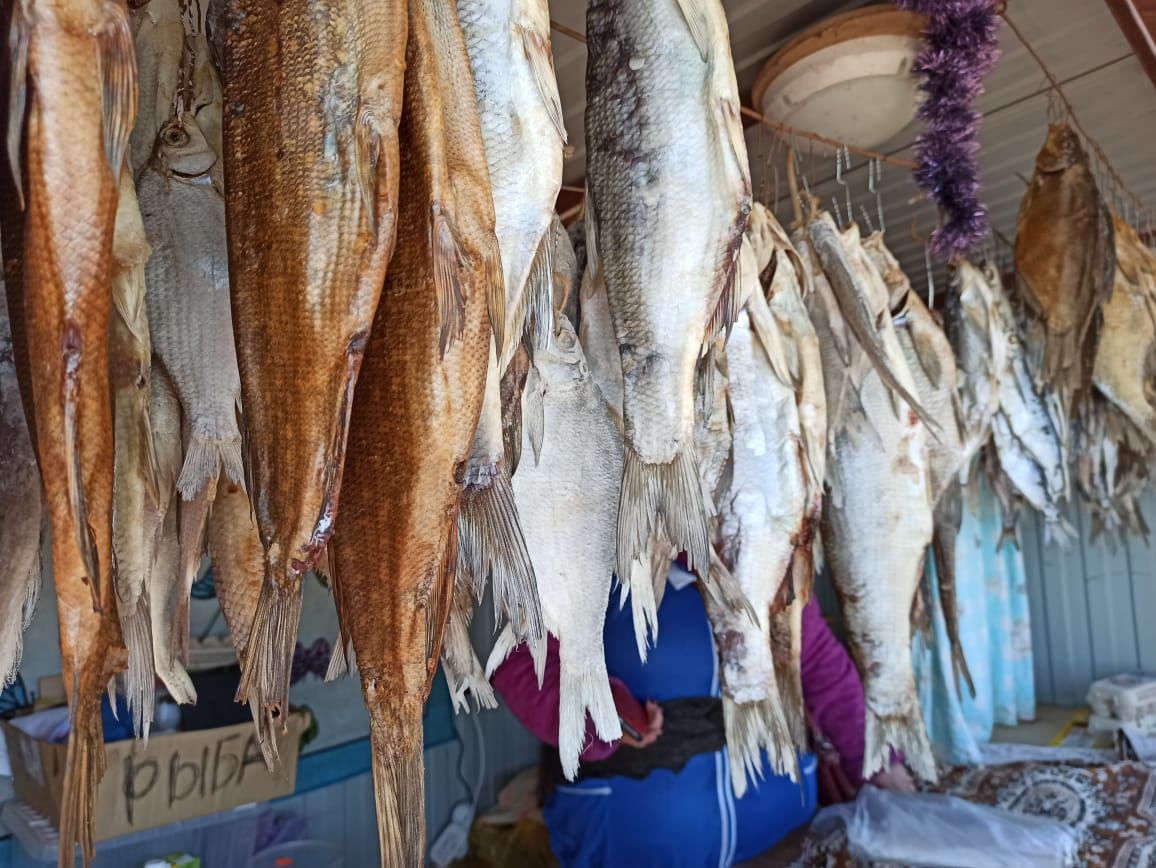 В Чистопольском районе пресекли незаконную торговлю рыбой (фоторепортаж)