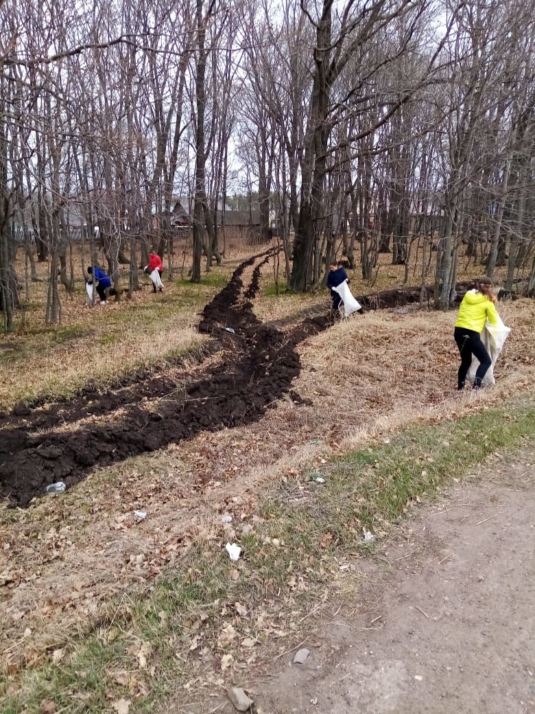 Школьники Чистопольского района присоединились к республиканской акции «Чистые леса»