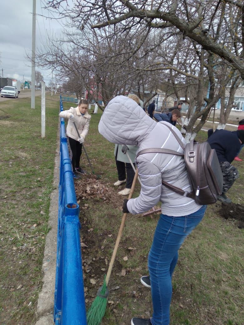 Школьники Чистопольского района присоединились к республиканской акции «Чистые леса»