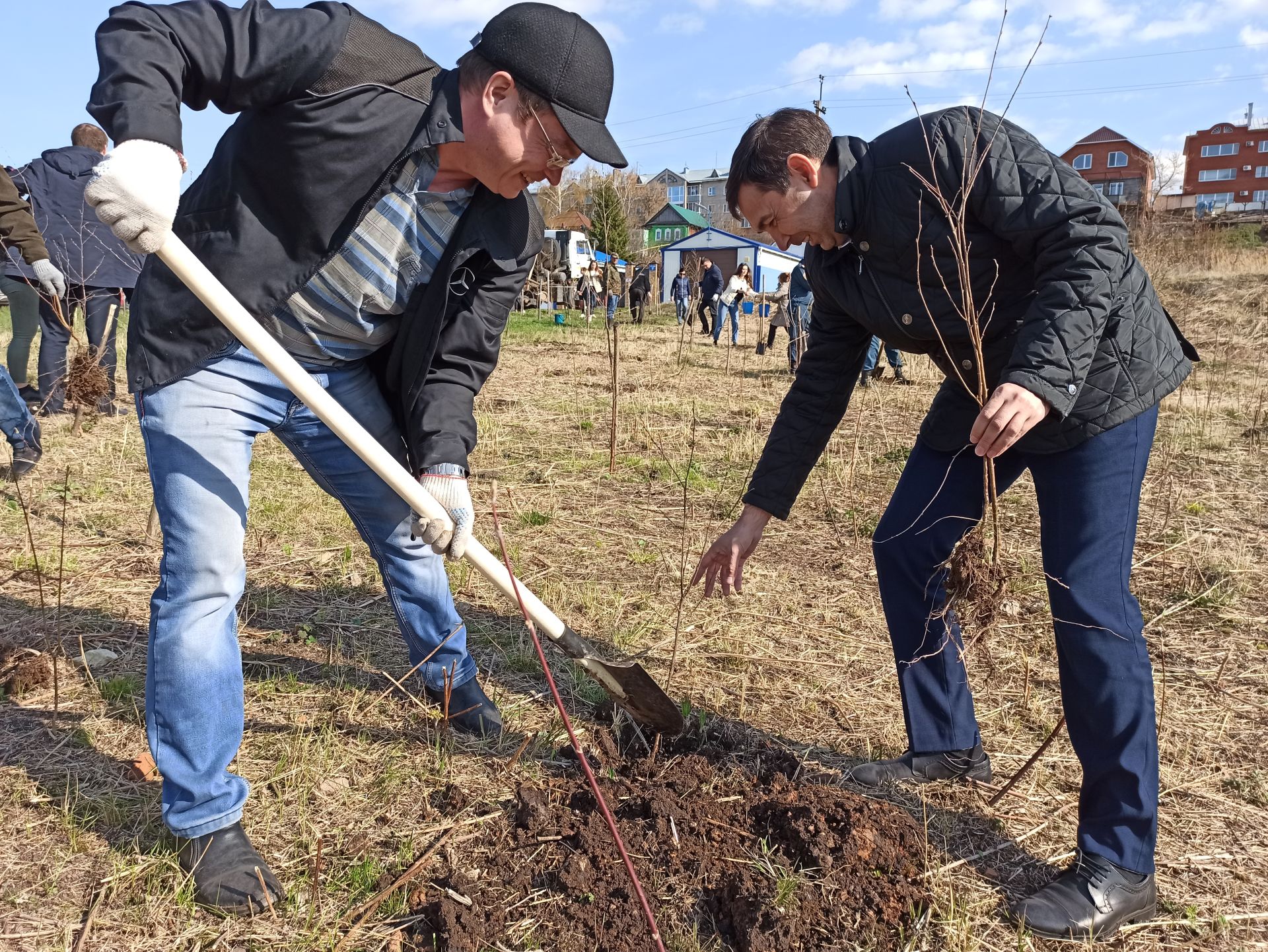Чистопольцы посадили более 300 молодых деревьев