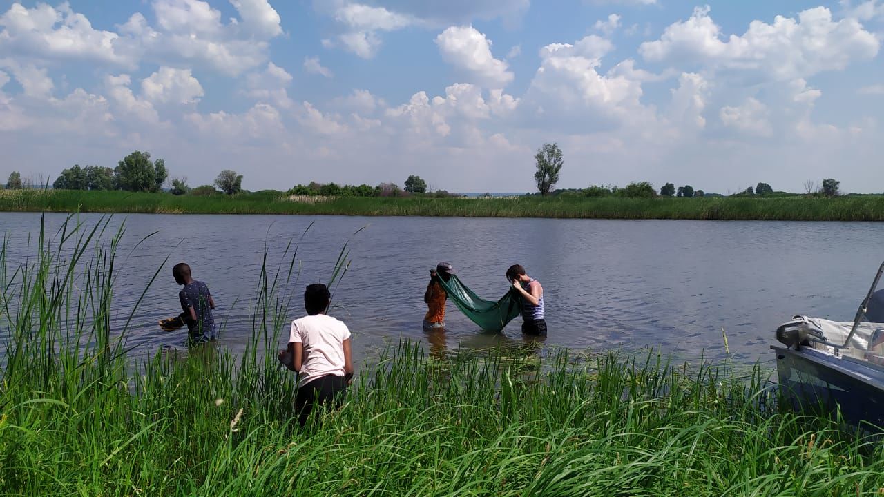 Будущие экологи из Центральной Америки и Африки занимаются исследованиями озер в Чистопольском районе