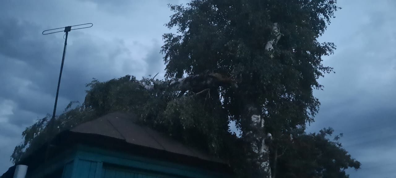 В Чистополе устраняют последствия урагана