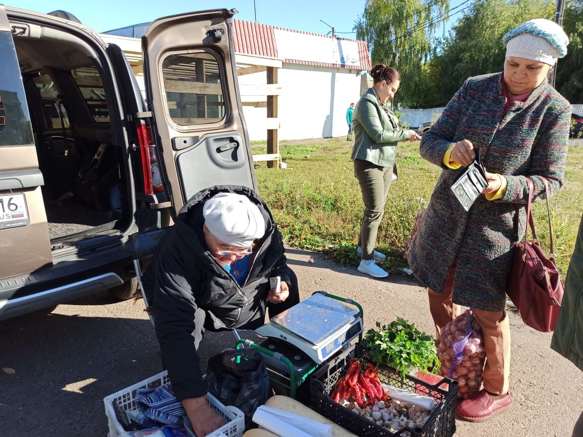 В Чистополе состоялись первые в этом году осенние сельскохозяйственные ярмарки (фоторепортаж)