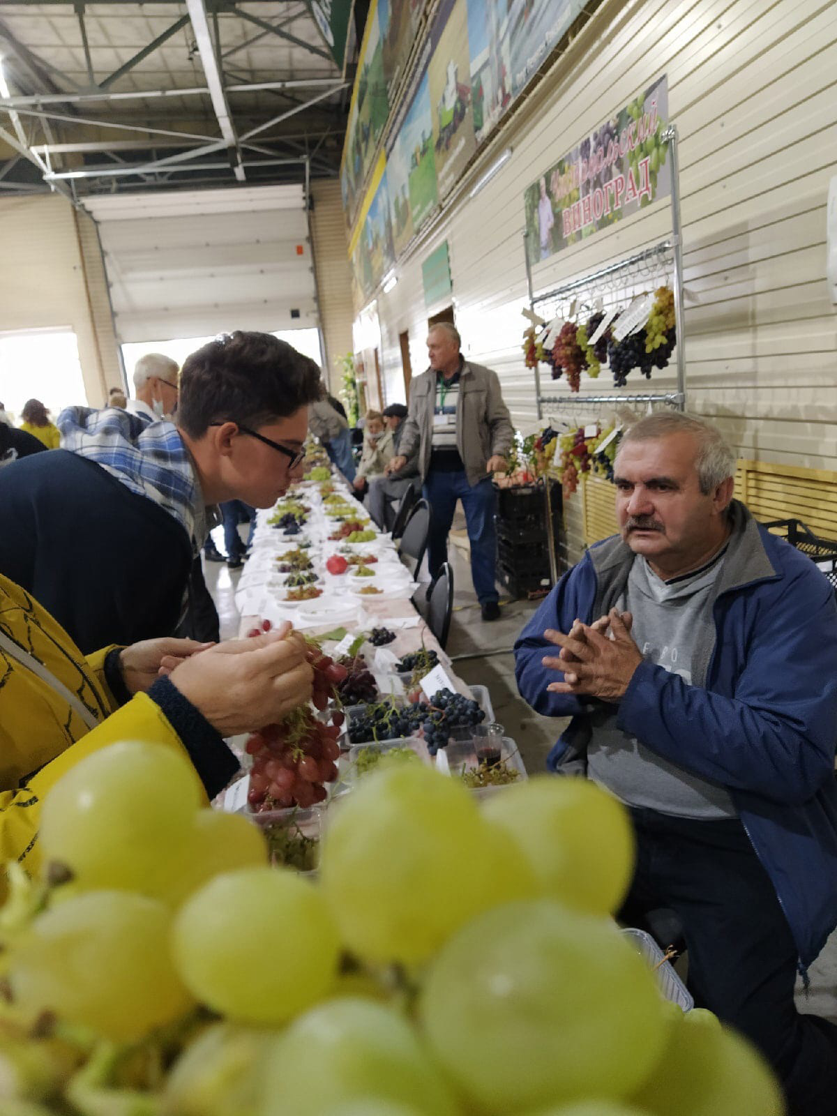 Ценители солнечной ягоды собрались на выставке в Казани