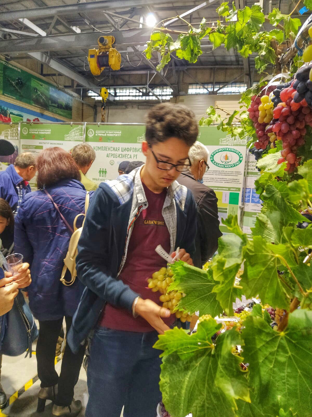 Ценители солнечной ягоды собрались на выставке в Казани