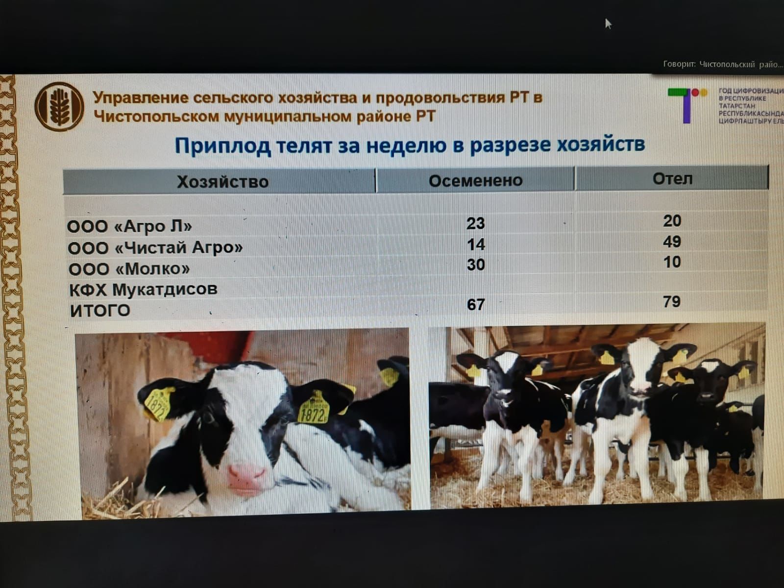 Работу отдела ЗАГС, состояние дел в АПК, оперативную обстановку обсуждали на еженедельной планерке в Чистопольском муниципалитете