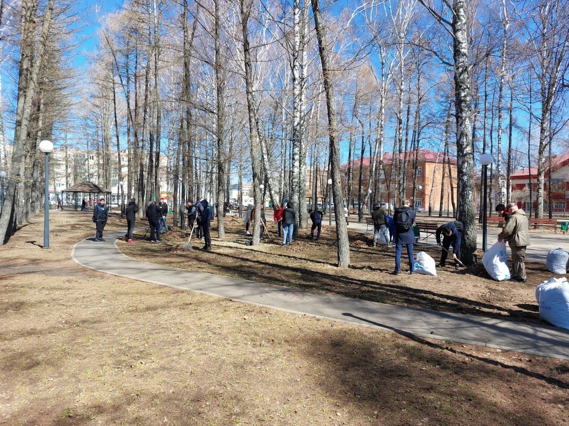 Школьники, студенты, сотрудники предприятий и организаций присоединились к Всероссийскому субботнику