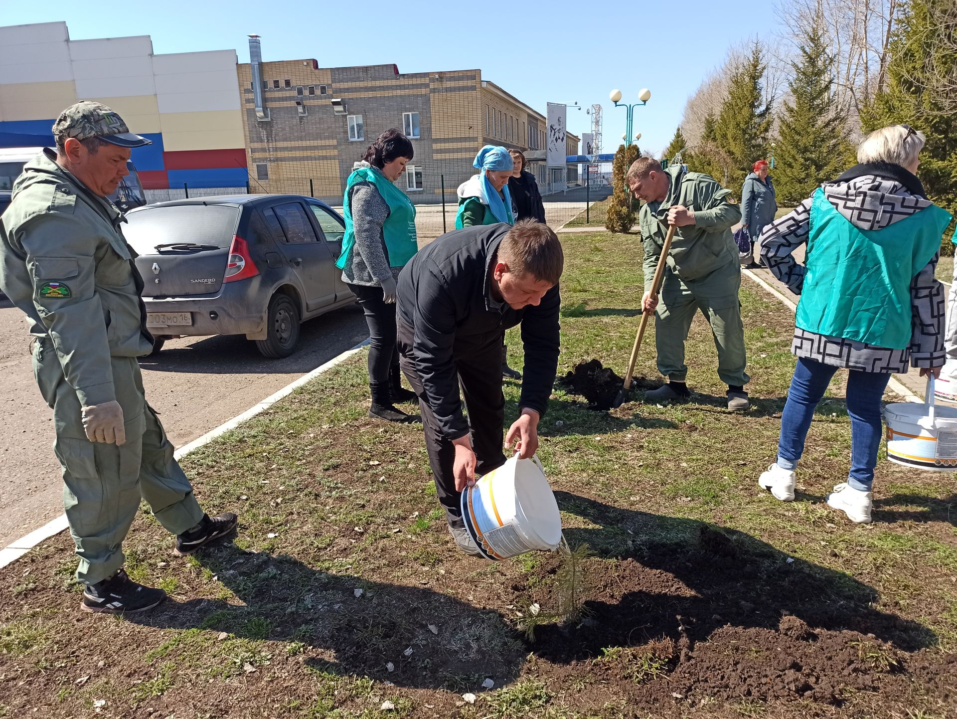 В день рождения природного заказника «Чистые луга» чистопольцы посадили более 30 молодых сосен