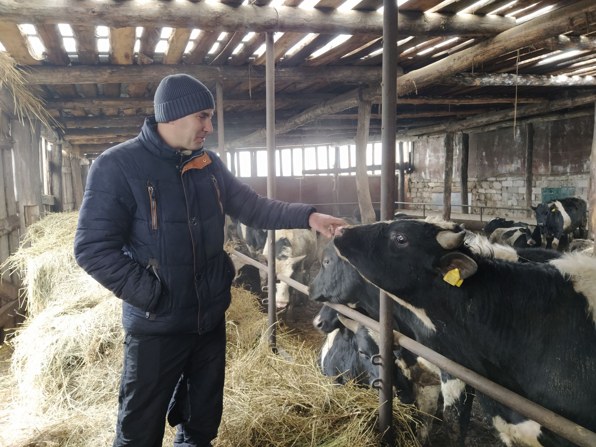 Фермеры из чистопольского села рассказали о своей деятельности