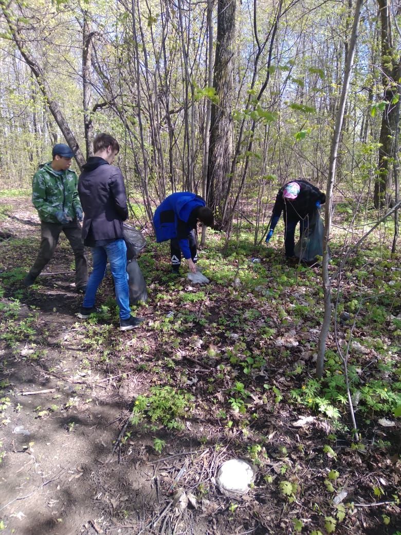 Чистопольцы присоединились к акции «Чистые леса Татарстана»