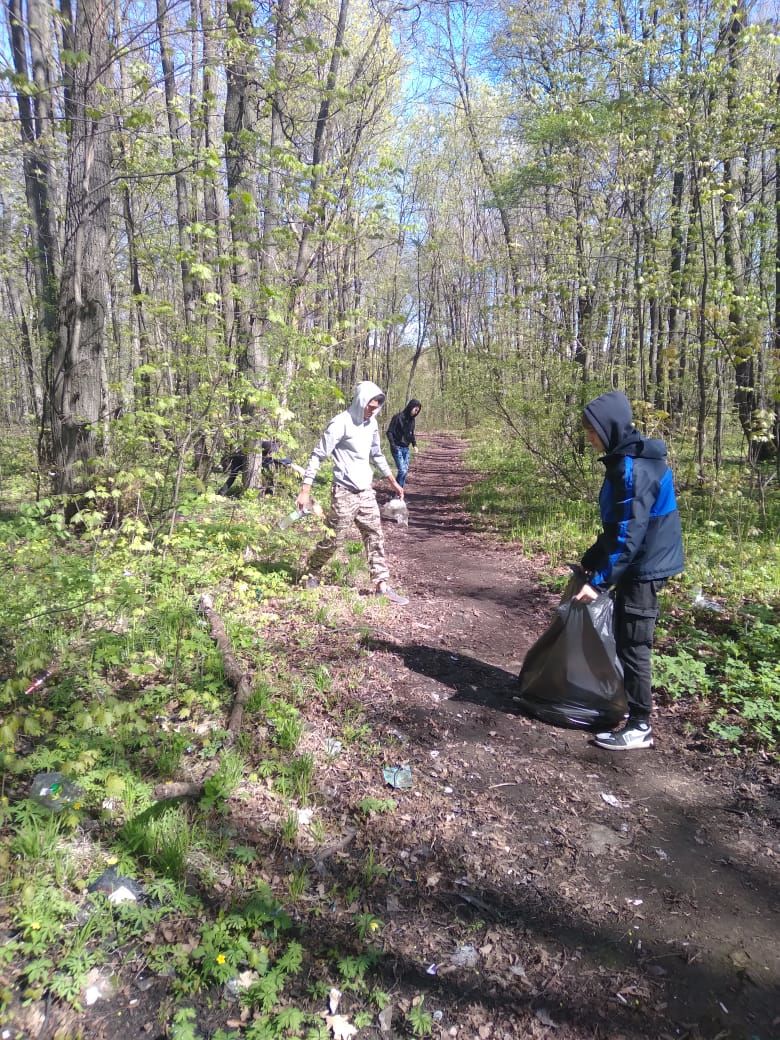 Чистопольцы присоединились к акции «Чистые леса Татарстана»