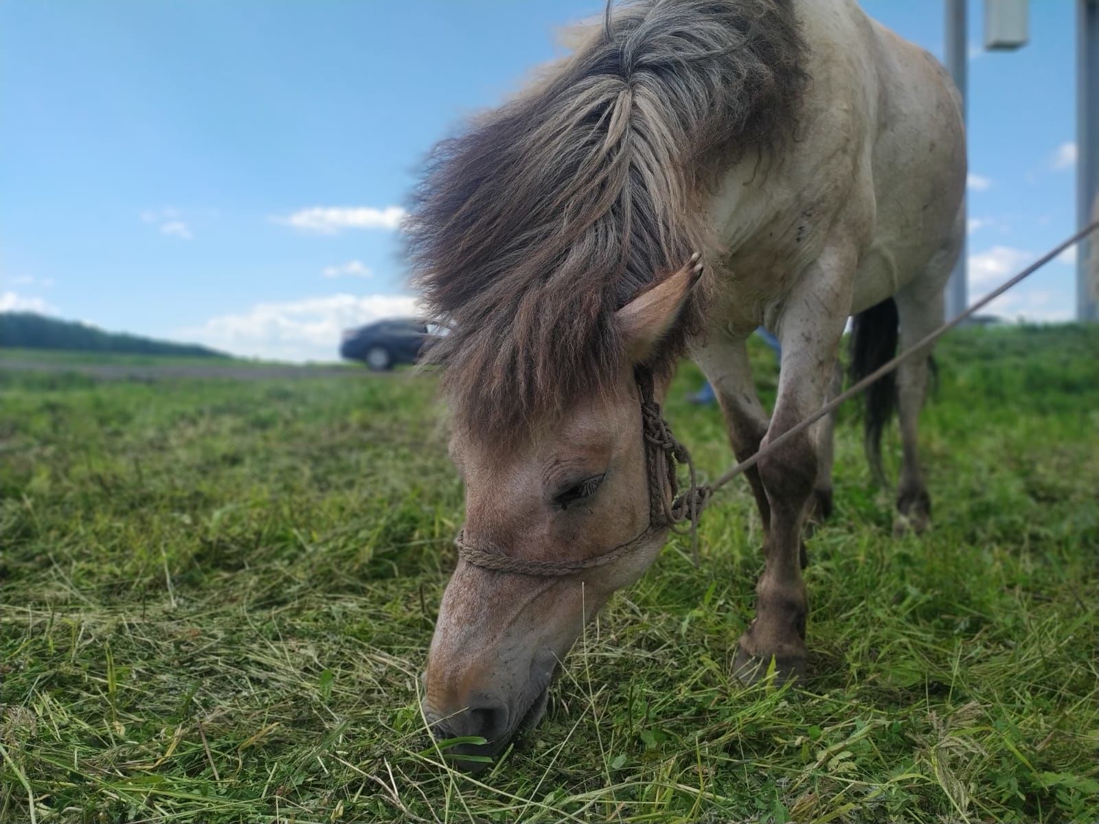Верхом на коне: как житель якутского села путешествует по стране