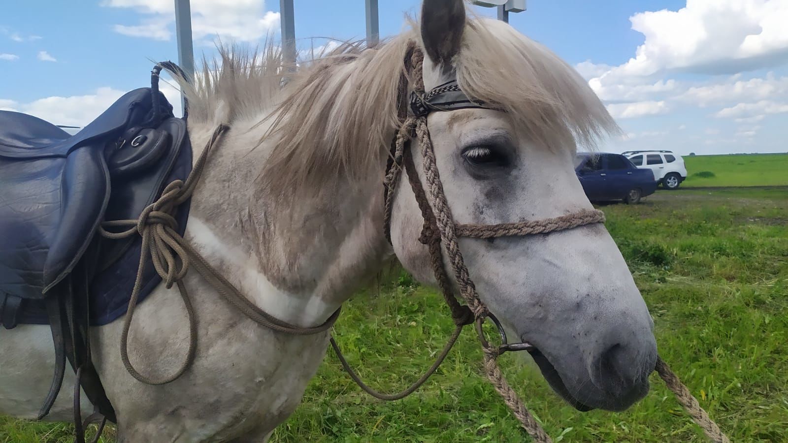 Верхом на коне: как житель якутского села путешествует по стране