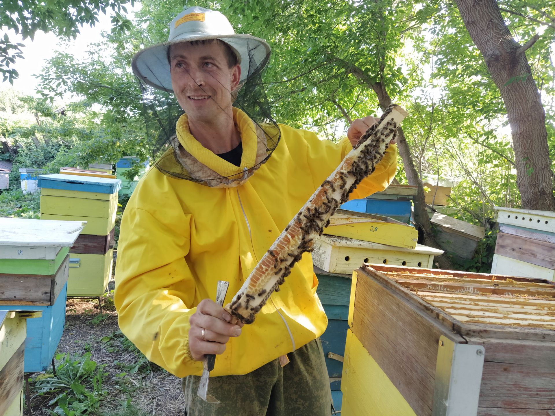С пчелами на "ты": Павел Ковшенин из Чистополя рассказал о своем ремесле (Фоторепортаж)