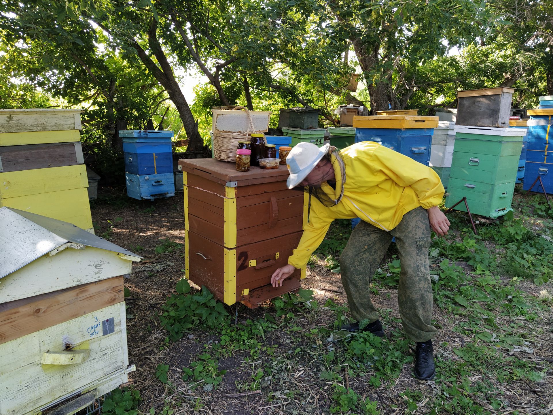 С пчелами на "ты": Павел Ковшенин из Чистополя рассказал о своем ремесле (Фоторепортаж)