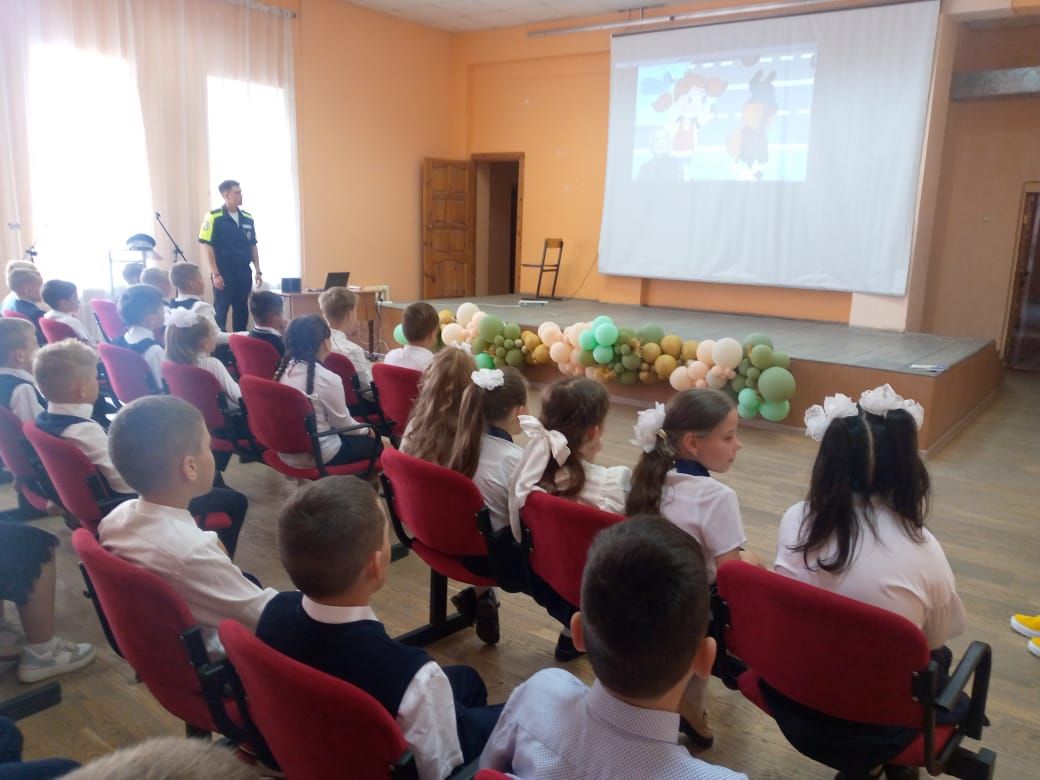 Повторяем дорожную азбуку: встреча с чистопольскими школьниками