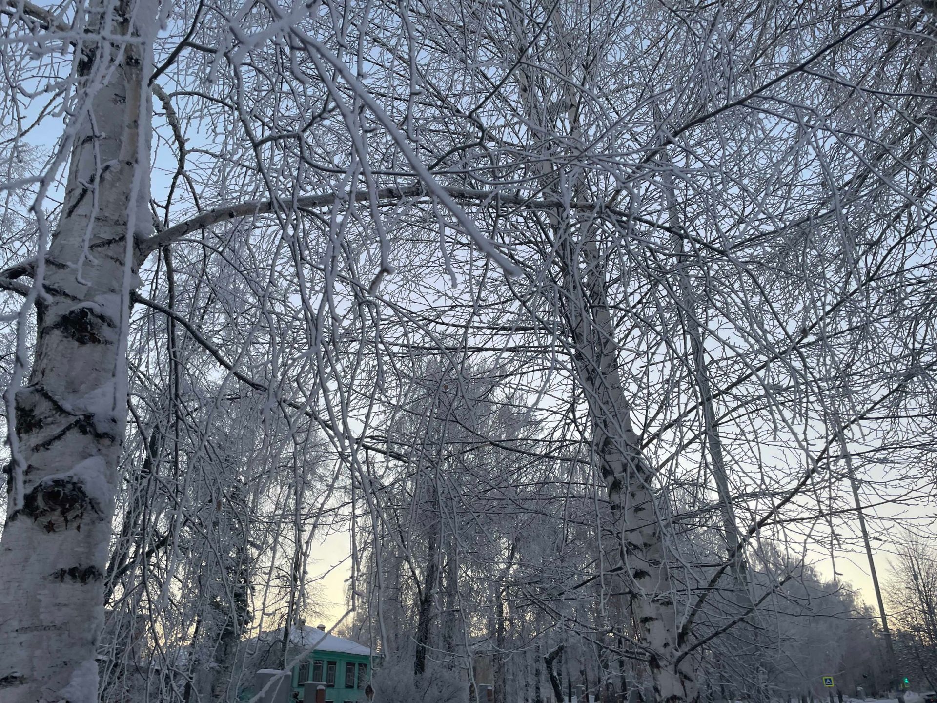 Какая погода ожидает чистопольцев 14 января