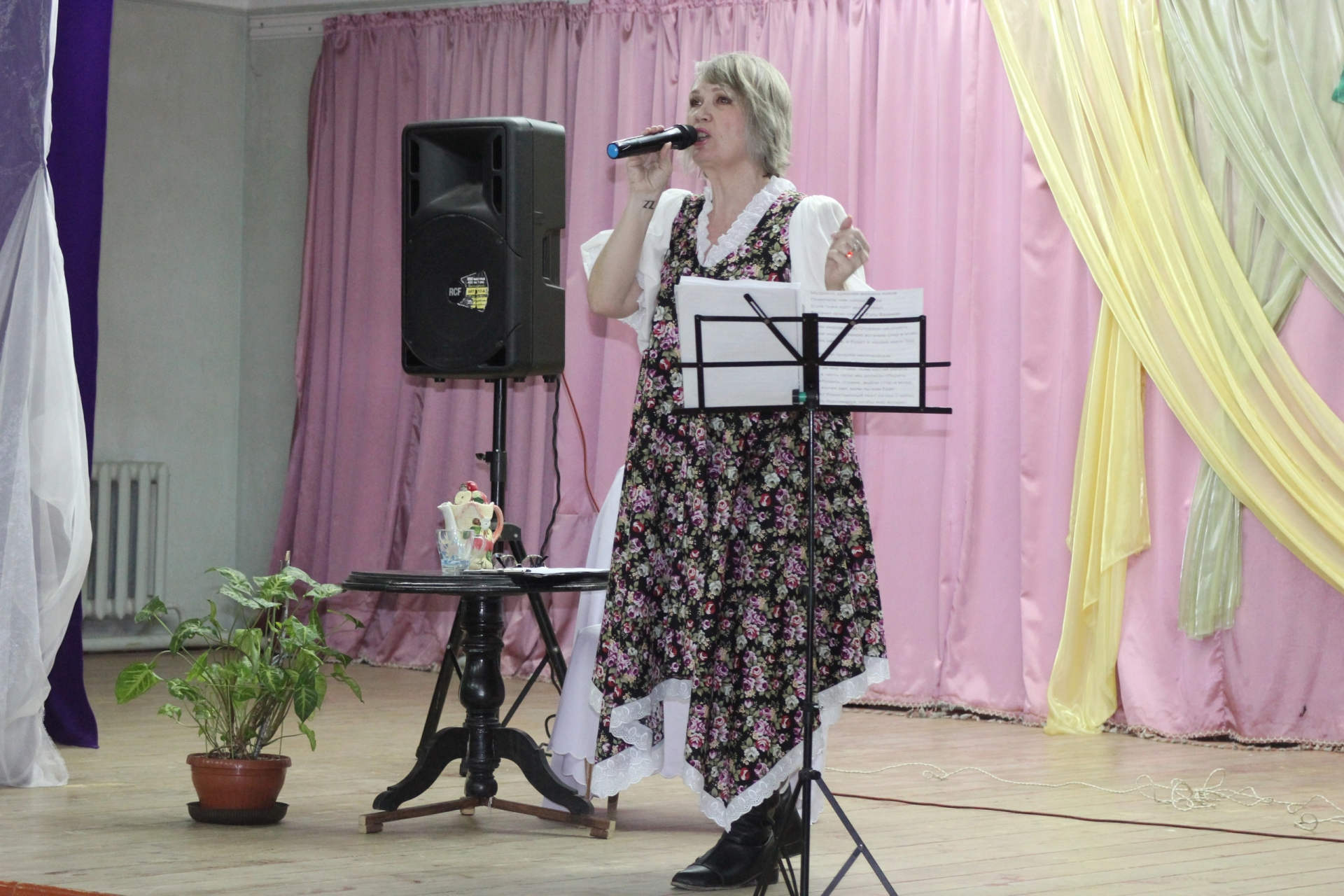 В Чистопольском клубе речников состоялся  концерт Светланы Силантьевой