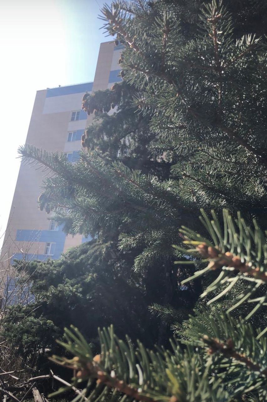К концу недели в Татарстане ожидается похолодание