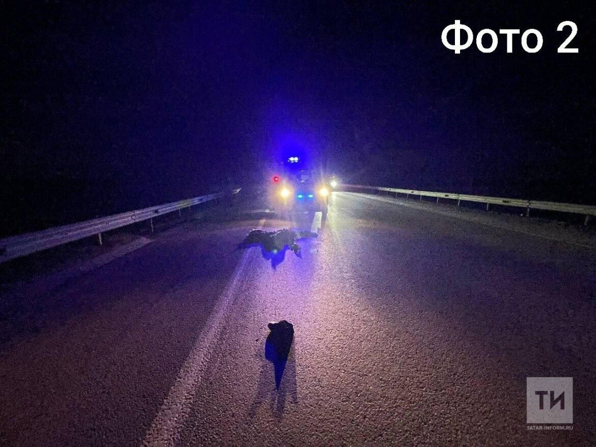 В Елабужском районе за сутки под колесами авто погибли два пешехода