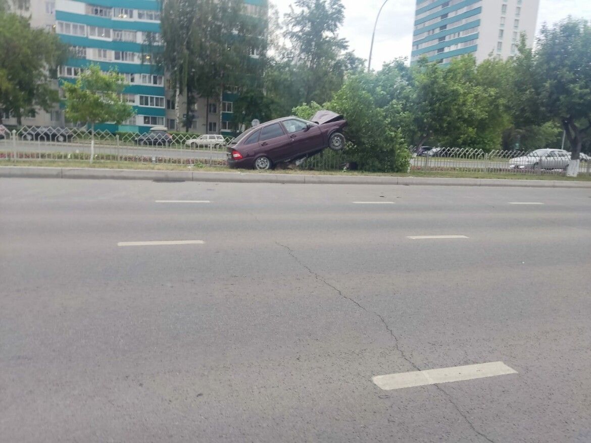 В Челнах легковушка повисла на дереве