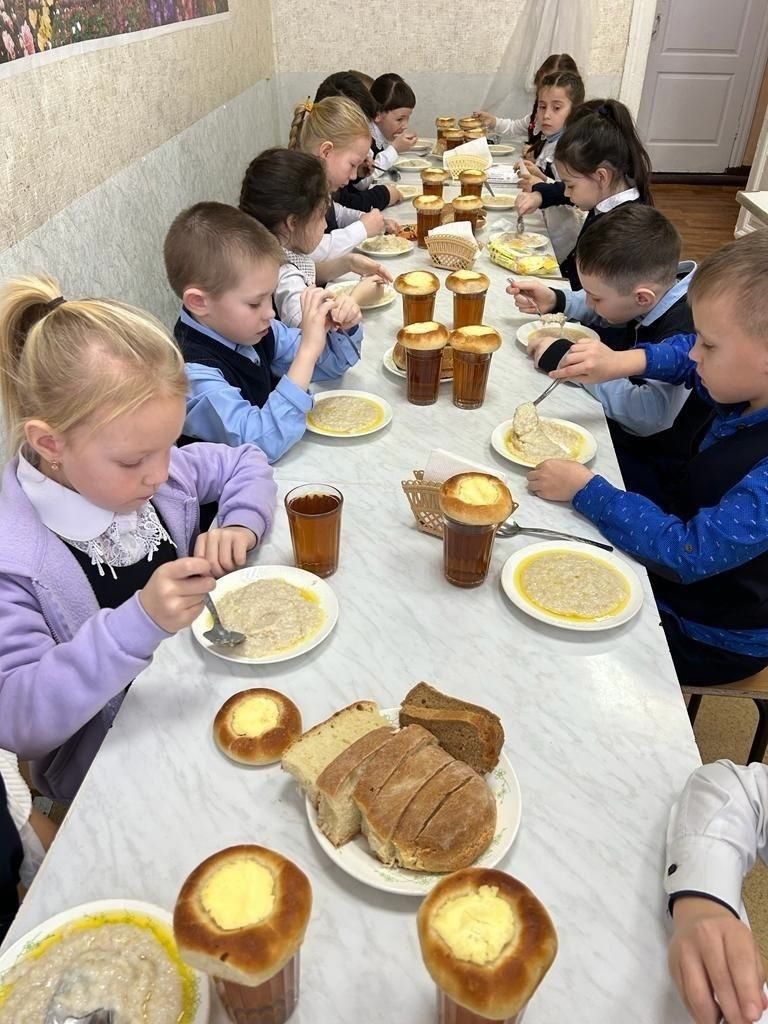 В школах Чистопольского района организован родительский контроль