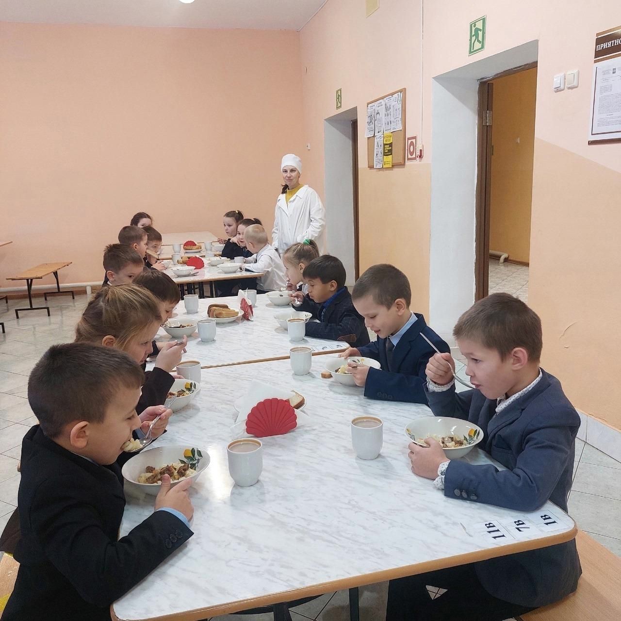 В школах Чистопольского района организован родительский контроль